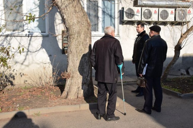 Мешканці будинку в центрі Луцька посварилися через дерева