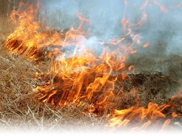 Волинь щодня страждає від спалювання сухої трави: статистика пожеж за тиждень