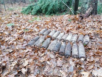 На Волині сапери знищили 15 боєприпасів, які люди знайшли у лісі