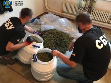 На Луганщині викрили нарколабораторію, де вирощували та обробляли елітні сорти марихуани
