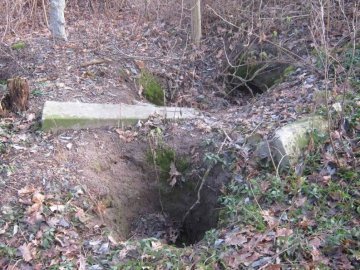«Чорні археологи» грабують кладовища на Ковельщині