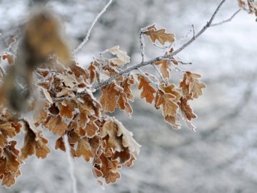 Погода в Луцьку та Волинській області на четвер, 8 грудня