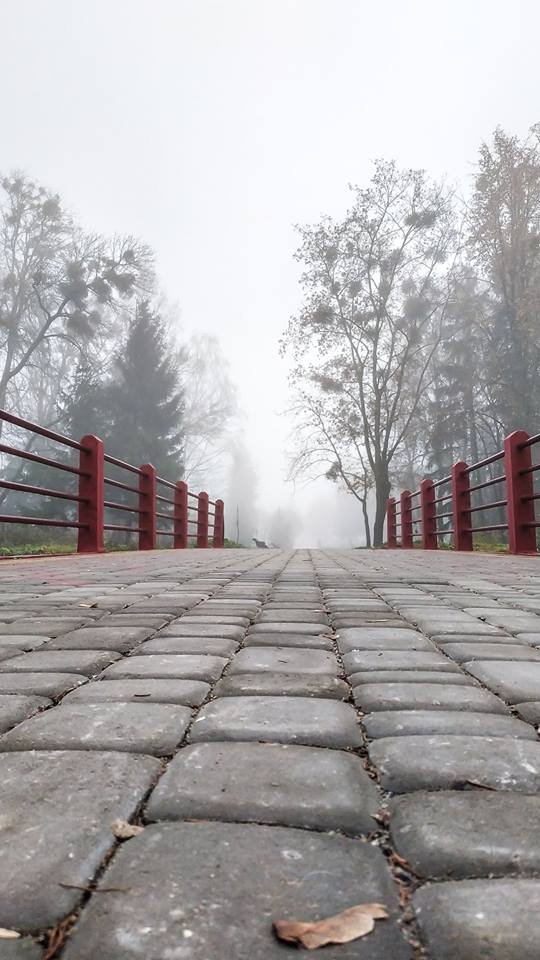 Моторошний луцький парк у полоні туману. ФОТО