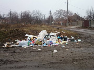 На Волині мешканці будинку страждають від сміттєвих «гір»