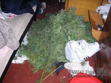 На Волині чоловік зберігав 10 800 грамів марихуани для власного вжитку
