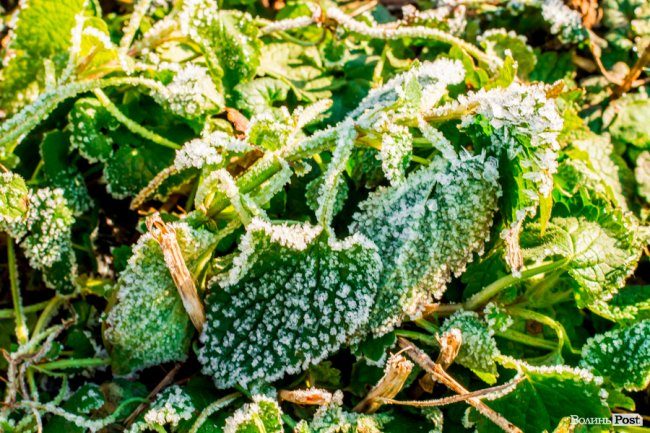 Луцьк в останній осінній день. ФОТОРЕПОРТАЖ