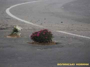 У Луцьку на «дубнівському кільці» у вибоїнах на дорозі висадили квіти