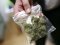 Нововолинські поліцейські вилучили марихуану