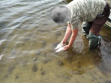 На Шацьких озерах «на гарячому» піймали браконьєрів, які ловили рибу сітками