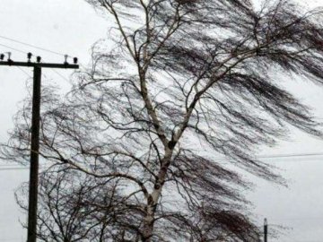 Сильний вітер знеструмив майже 50 сіл в Україні