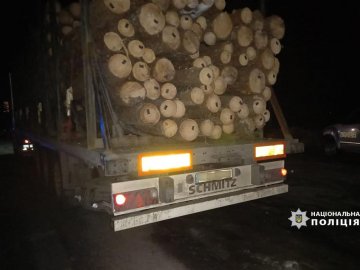 На Волині поліцейські затримали вантажівку з незаконним лісом. ФОТО