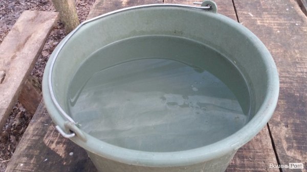 Чистий Чистий