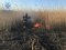 Лучанин підпалив суху траву, впорядковуючи земельну ділянку: згоріло два гектари поля