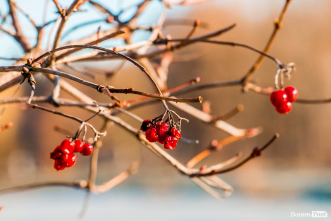 Луцьк в останній осінній день. ФОТОРЕПОРТАЖ