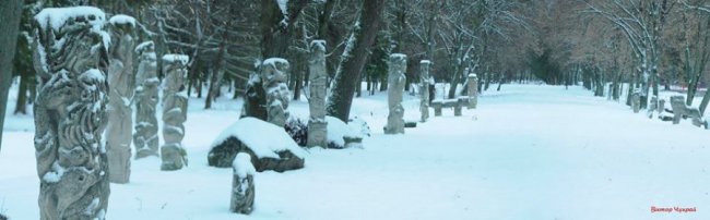 Голубі начерки зими: луцький фотограф поділився світлинами парку