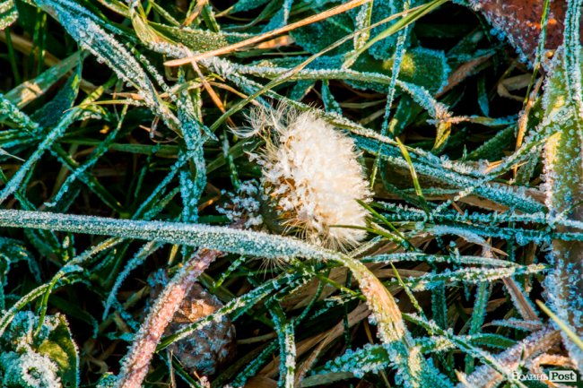 Луцьк в останній осінній день. ФОТОРЕПОРТАЖ