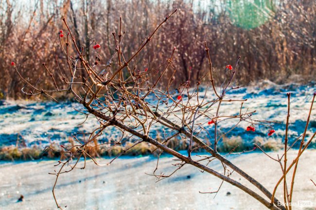 Луцьк в останній осінній день. ФОТОРЕПОРТАЖ