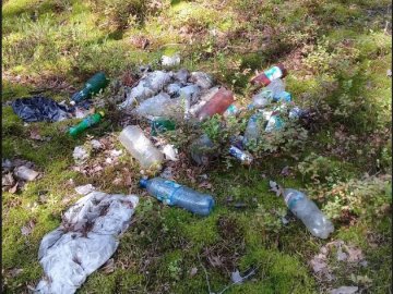 Підгузки, банки і пляшки: у лісі на Волині – купи сміття