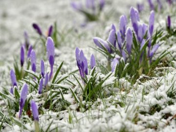 Погода в Луцьку та Волинській області на вівторок, 23 березня