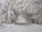 16 грудня на Волині випала двотижнева норма снігу