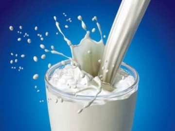 Україна зможе експортувати молочну продукцію в ЄС