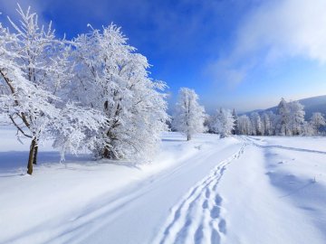 Волинська школа може зустріти зиму «напівнакритою»