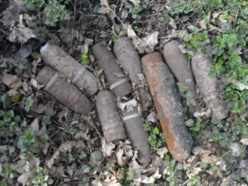 Волинські піротехніки знищили 137 боєприпасів та 300 патронів часів війни