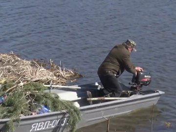 На заплаві річки Стир у Луцьку зробили штучні нерестові гнізда для риби. ВІДЕО