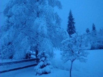 Деякі регіони України засипало снігом, а мороз сягнув позначки -20°C