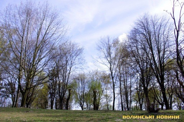 Природа ожила: показали весняні фото луцького парку