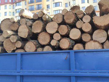 На Набережній у Луцьку затримали вантажівку з незаконним лісом 