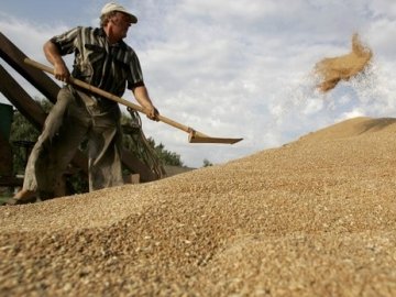 На Луцькому КХП №2 виявили недостачу зерна на 70 млн гривень