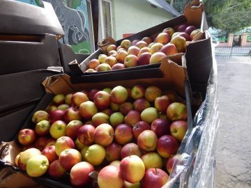Благодійник подарував луцькому зоопарку дві тонни яблук