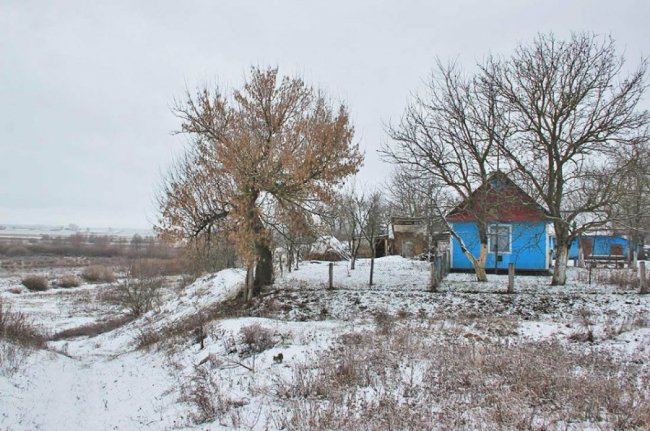 Казкові зимові пейзажі у селах під Луцьком. ФОТО