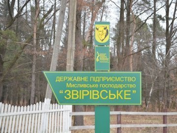«Межигір'я» по-волинськи: екскурсія лісовими маєтками