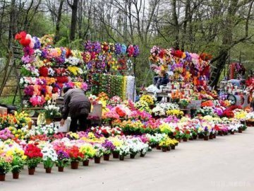 Українців закликають не нести на могили пластикові квіти та вінки
