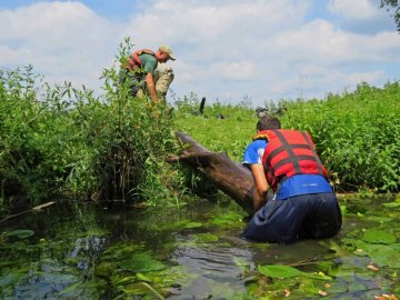 Екологи та волонтери розчистили річку на Волині