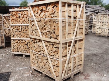 Вивозити не можна залишити в Україні: чи необхідна заборона на експорт дров