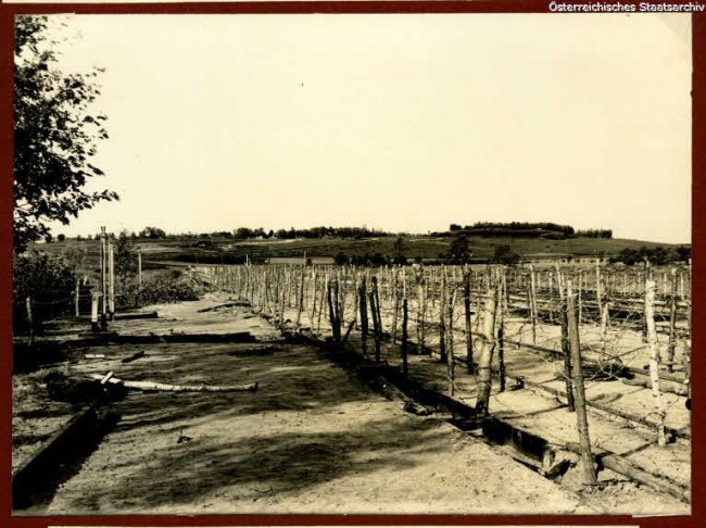 Село Підлужжя, Дубенський район, 1914-1918 рр.
