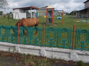 «Майте стид і совість»: на дитячому майданчику випасають коней і розпивають спиртне