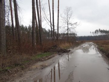 На Волині два села на кордоні з Білорусією відрізані від світу через дороги