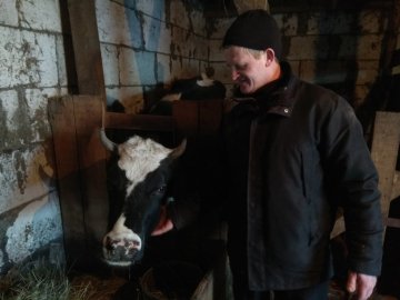 Бізнес на власному подвір'ї: як працює у селі на Волині молочна сімейна ферма