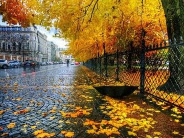 Якою буде погода в Луцьку та Волинській області у середу, 18 листопада