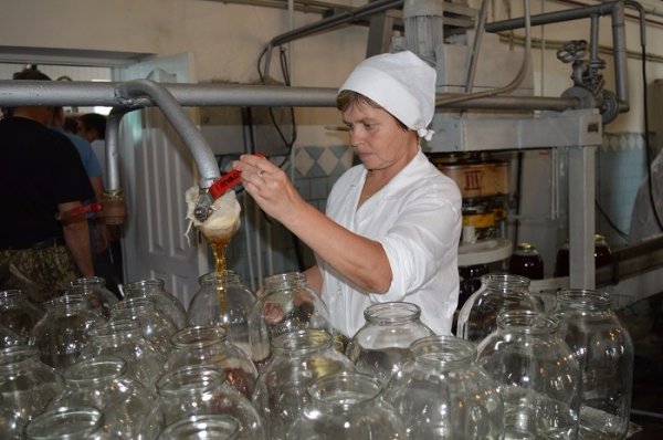 Санітарні рубки нам не вигідні, - лісівники. ФОТО Санітарні рубки нам не вигідні, - лісівники. ФОТО