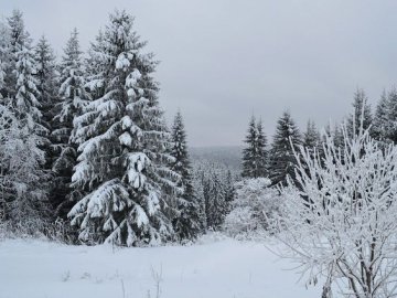 Погода у Луцьку та Волинській області на четвер, 20 грудня