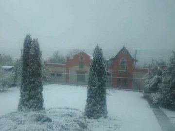 В Україні випав першй сніг
