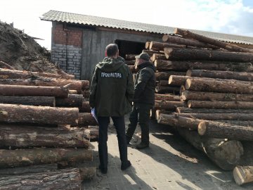 Під час обшуків у Стобихівці правоохоронці вилучили понад 700 кубів незконну деревину. ФОТО