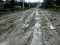 «Догосподарювалися»: у волинському селі дорога перетворилась на болото