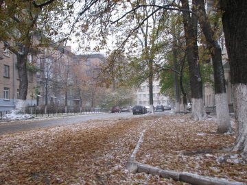 Погода в Луцьку та Волинській області на вівторок, 22 листопада