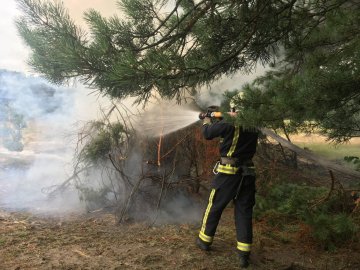 Волинські лісівники та рятувальники тренувалися гасити лісові пожежі. ФОТО